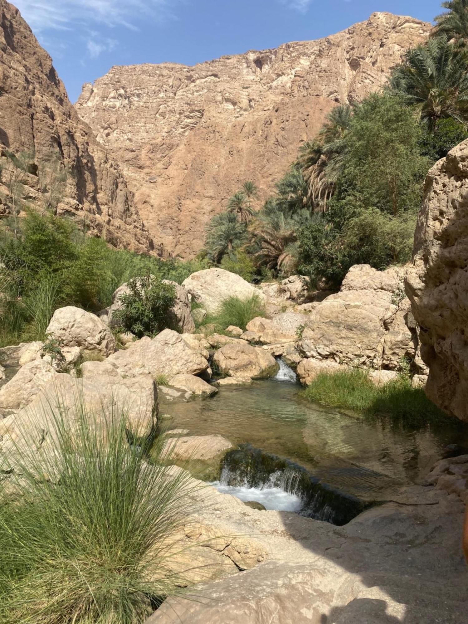 Wadi Shab Guest House Tiwi Eksteriør bilde