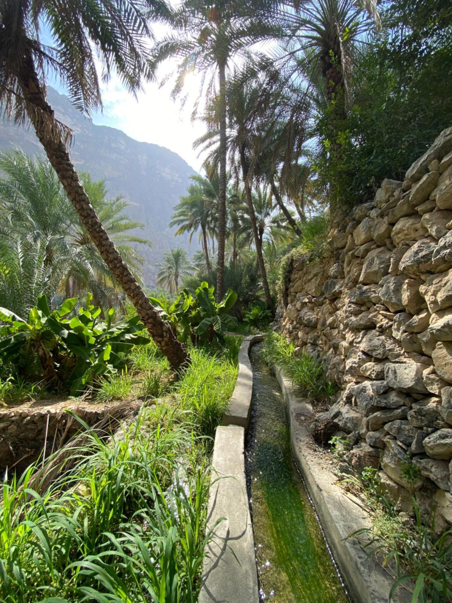Wadi Shab Guest House Tiwi Eksteriør bilde